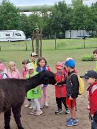 img/2026/Zoopark_Zelcin/IMG-20260612-WA0049.jpg